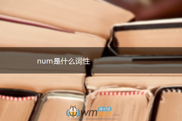 num是什么词性