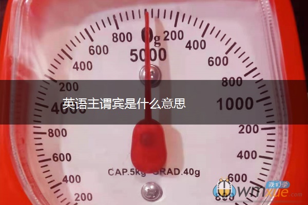 英语主谓宾是什么意思