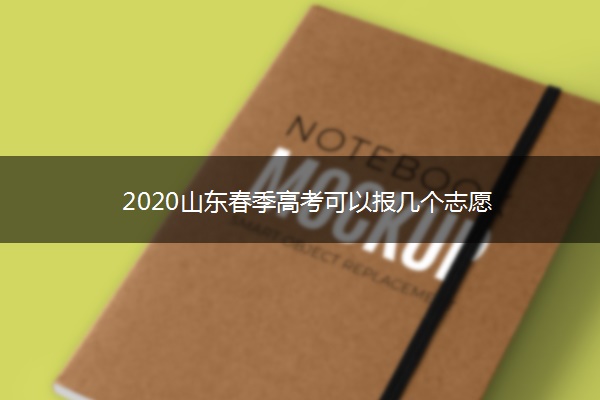 2020山东春季高考可以报几个志愿