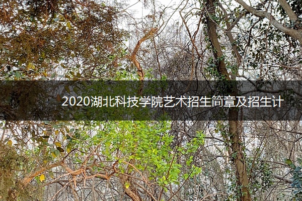 2020湖北科技学院艺术招生简章及招生计划