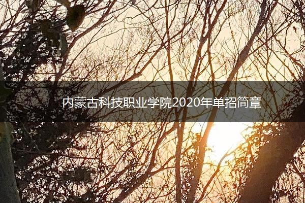 内蒙古科技职业学院2020年单招简章