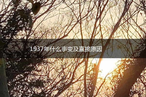 1937年什么事变及直接原因