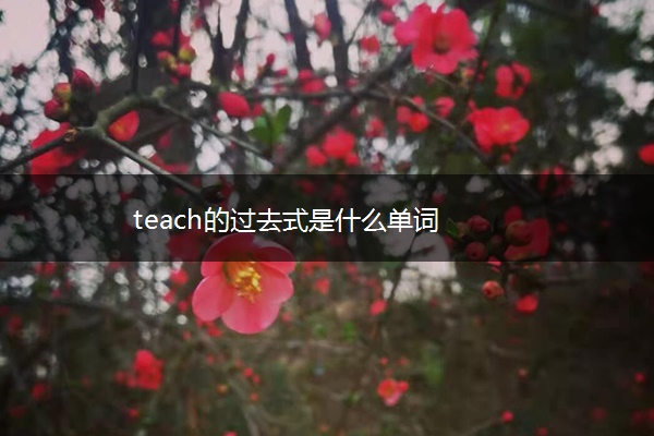 teach的过去式是什么单词