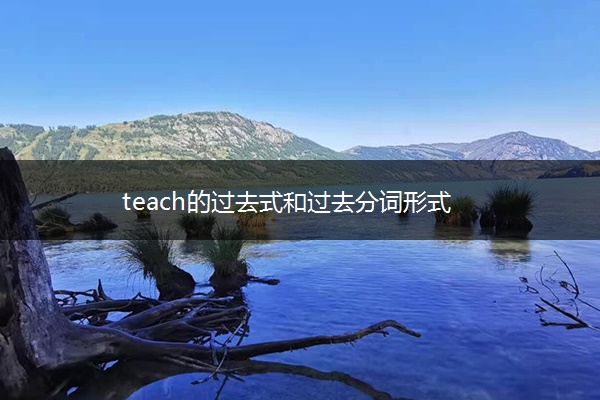 teach的过去式和过去分词形式