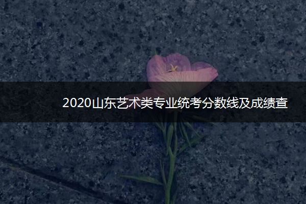 2020山东艺术类专业统考分数线及成绩查询时间