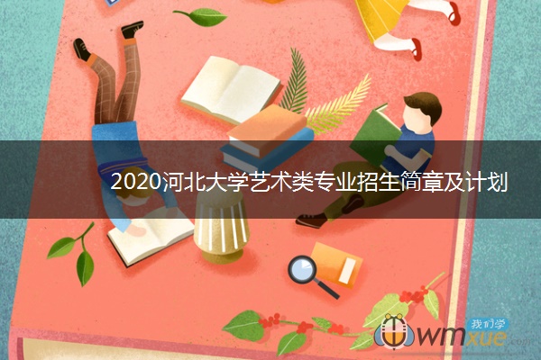 2020河北大学艺术类专业招生简章及计划