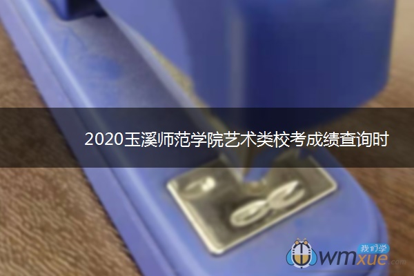 2020玉溪师范学院艺术类校考成绩查询时间