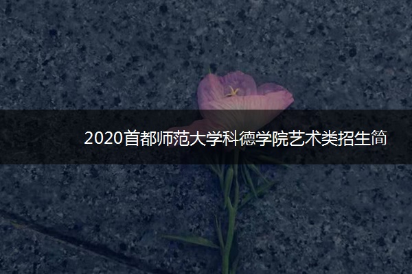 2020首都师范大学科德学院艺术类招生简章及计划