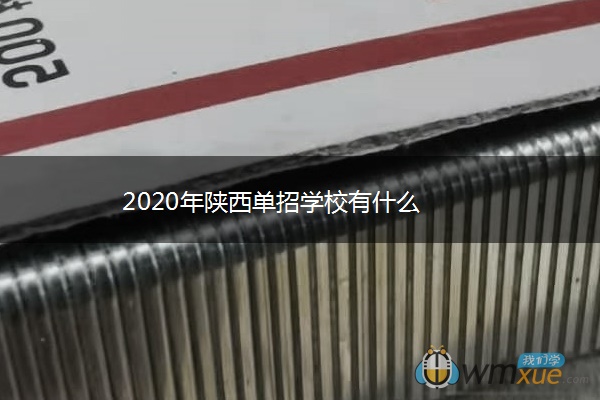 2020年陕西单招学校有什么