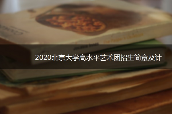 2020北京大学高水平艺术团招生简章及计划