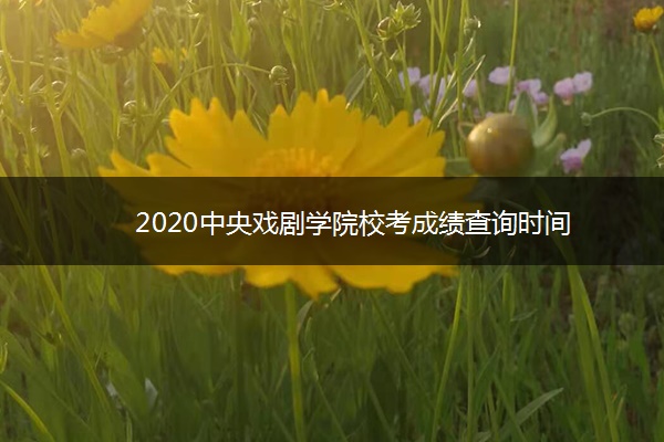 2020中央戏剧学院校考成绩查询时间