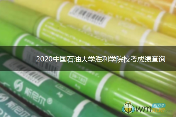 2020中国石油大学胜利学院校考成绩查询入口