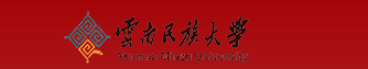 2020云南民族大学艺术类校考成绩查询时间安排