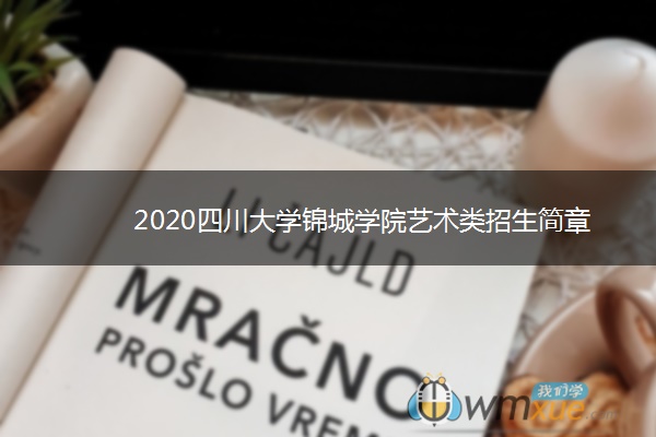 2020四川大学锦城学院艺术类招生简章