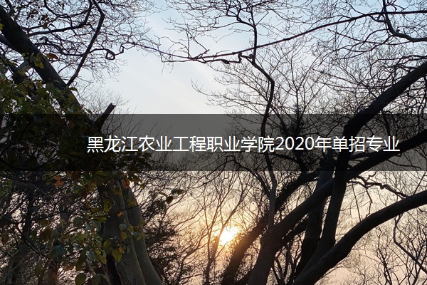 黑龙江农业工程职业学院2020年单招专业