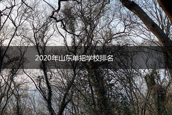 2020年山东单招学校排名