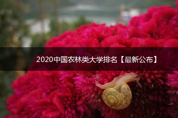 2020中国农林类大学排名【最新公布】