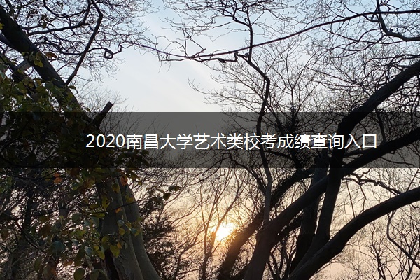 2020南昌大学艺术类校考成绩查询入口