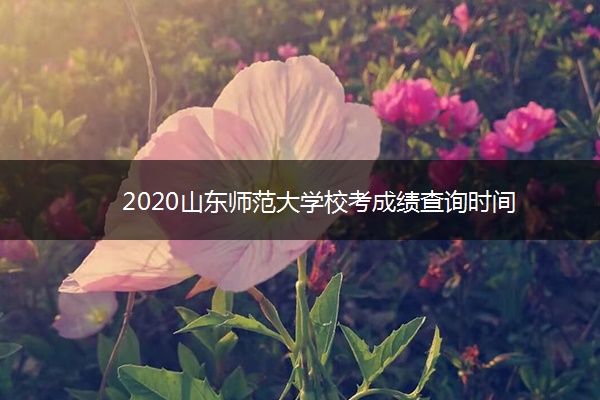 2020山东师范大学校考成绩查询时间