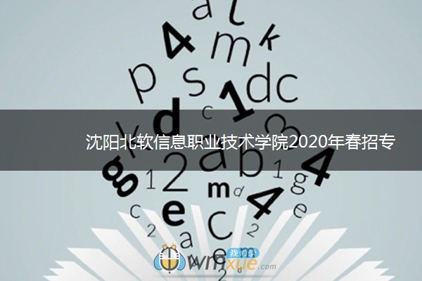 沈阳北软信息职业技术学院2020年春招专业