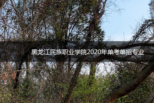 黑龙江民族职业学院2020年单考单招专业