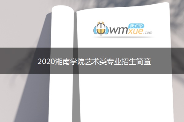 2020湘南学院艺术类专业招生简章