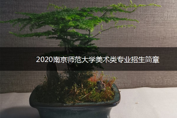 2020南京师范大学美术类专业招生简章