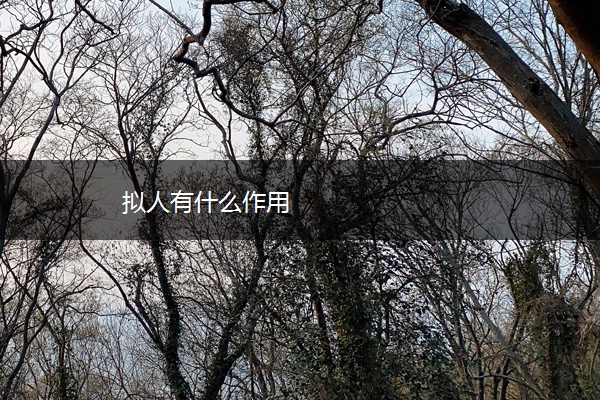 拟人有什么作用