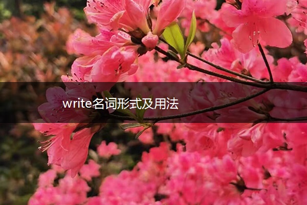 write名词形式及用法