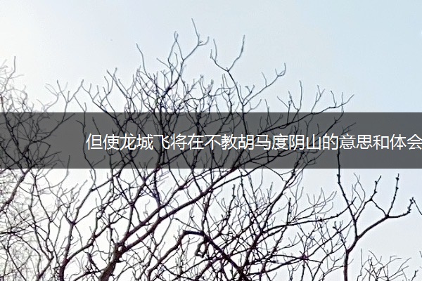 但使龙城飞将在不教胡马度阴山的意思和体会