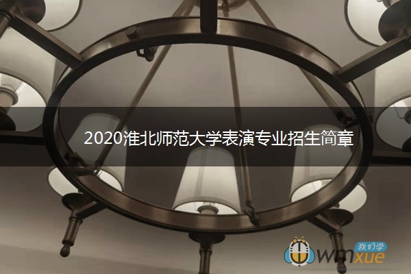 2020淮北师范大学表演专业招生简章