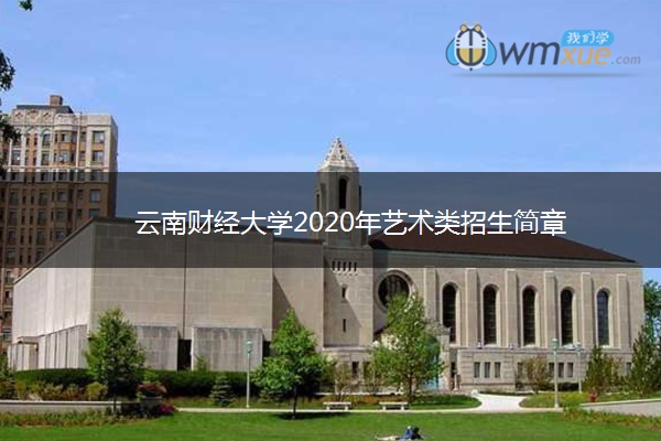 云南财经大学2020年艺术类招生简章