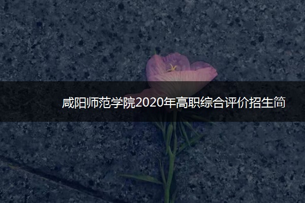 咸阳师范学院2020年高职综合评价招生简章