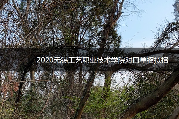 2020无锡工艺职业技术学院对口单招拟招生专业