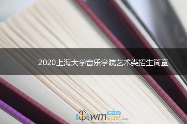 2020上海大学音乐学院艺术类招生简章