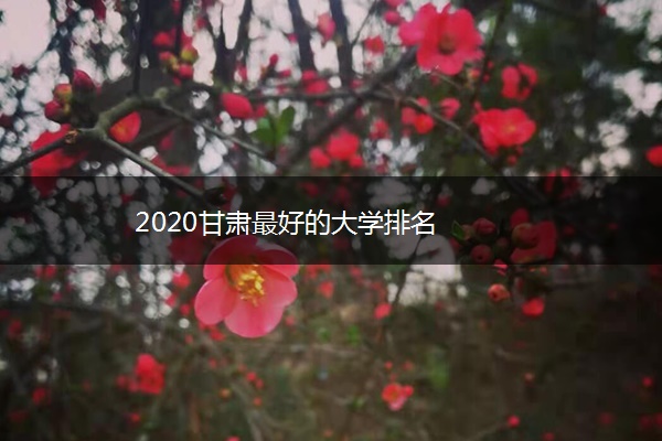 2020甘肃最好的大学排名