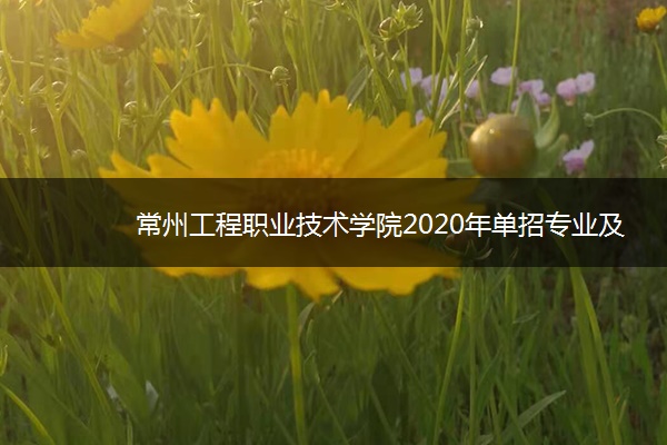 常州工程职业技术学院2020年单招专业及计划