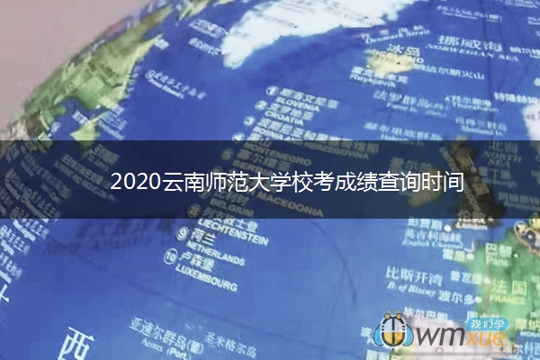 2020云南师范大学校考成绩查询时间