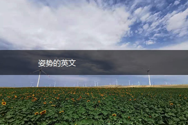 姿势的英文