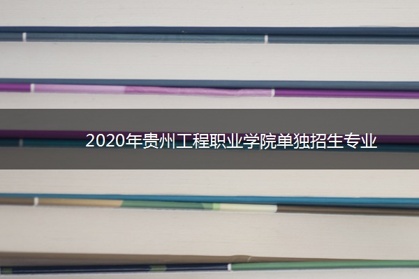 2020年贵州工程职业学院单独招生专业