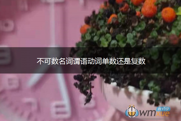 不可数名词谓语动词单数还是复数