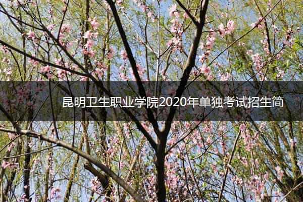 昆明卫生职业学院2020年单独考试招生简章