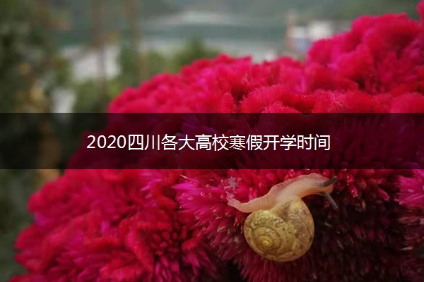 2020四川各大高校寒假开学时间