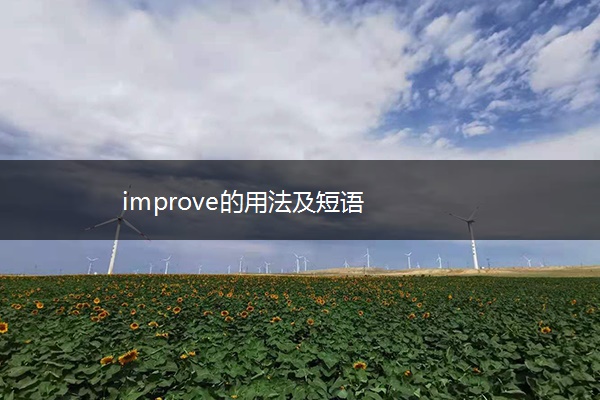 improve的用法及短语