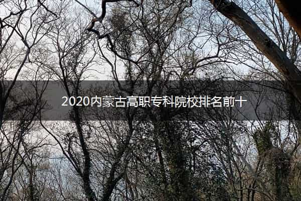 2020内蒙古高职专科院校排名前十