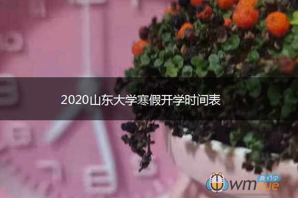 2020山东大学寒假开学时间表