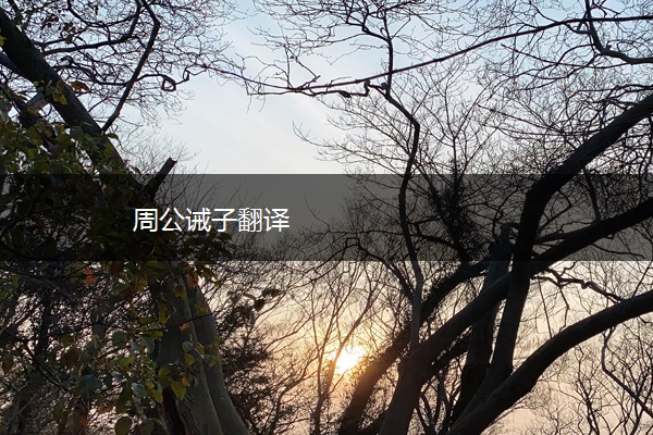 周公诫子翻译 周公诫子翻译