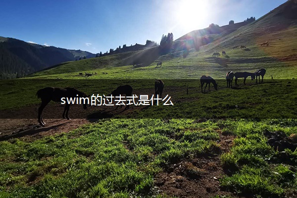 swim的过去式是什么