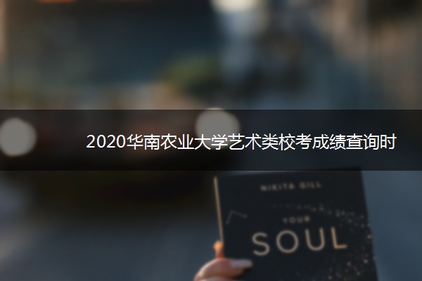 2020华南农业大学艺术类校考成绩查询时间