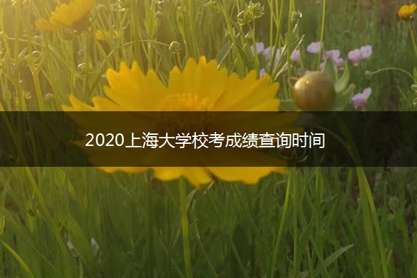 2020上海大学校考成绩查询时间